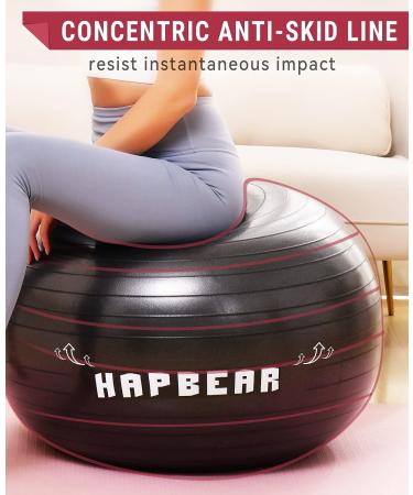 HAPBEAR Exercise Ball - Large Yoga Ball for Stability Work Out and Pregnancy - Anti-Burst Swiss Balance Fitness Ball with Quick Pump - Black - L (23-26inch / 58-65cm) - Buy Online on GoSupps.com