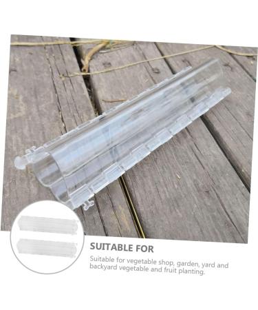 Toddmomy 2pcs Fruit Shaping Mold Modeling Gardening Supplies Transparent Color 21x4cm - Buy Online on GoSupps.com