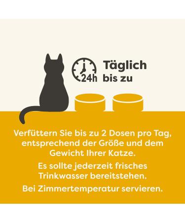 Applaws 100% Natural Wet Cat Food - Chicken with Pumpkin (24 x 70g Tins) - Premium Grain-Free Cat Food - Buy Online on GoSupps.com