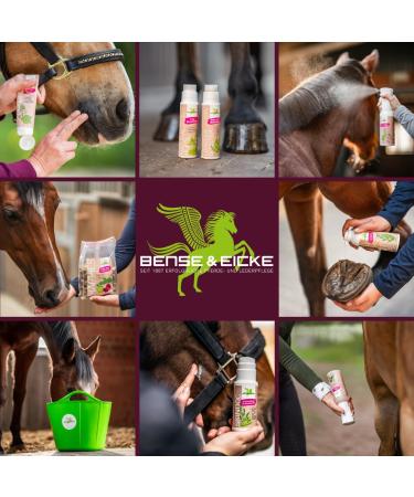 Parisol Haarfein Mane Tail and Fur Soap 100 g - Buy Online on GoSupps.com