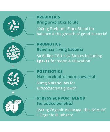 Dr. Formulated Calm 3-in-1 Probiotics with Ashwagandha - Immune, Digestive & Mood Support - 30 Day Supply - Buy Online on GoSupps.com