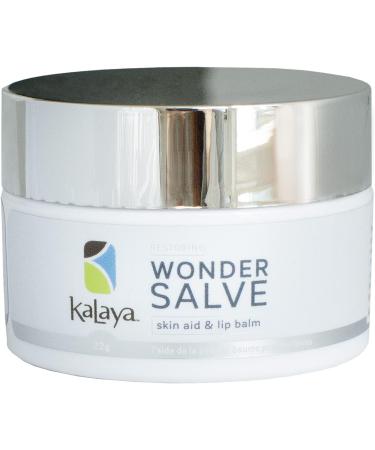 Kalaya Naturals Wonder Salve (Pack of 2) 22g (Pack of 2) - Buy Online on GoSupps.com