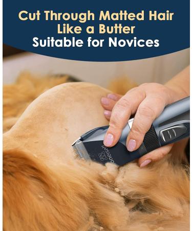 Oneisall Cat Grooming Clippers for Matted Hair - 2-Speed Cordless Pet Trimmer Kit - Low Noise Clipper for Dogs, Cats, Animals (Blue) - Buy Online on GoSupps.com