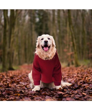 Waterproof Winter Dog Coat | Warm Jacket & Sweater for Puppies | Medium Dog Fleece Hoodie | Autumn Pet Clothing - Buy Online on GoSupps.com
