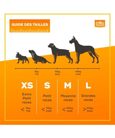 Natural Dog Treats | Chewing Bone & Wood Toys for Dogs | Coffee Wood Chews | Caustab Chewing Wood XS - 2U - Buy Online on GoSupps.com