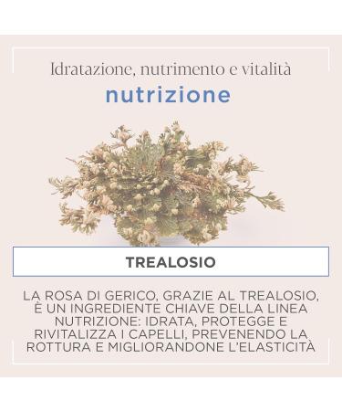  Kemon Actyva - Nutrition Cond Nourishing Treatment Balm for Lengths and Dry Hair Oats and Olive Oil Detangling Effect - 500 ml - Buy Online on GoSupps.com