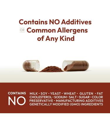 ANDREW LESSMAN Cinnamon 400mg - 60 Capsules - High Potency Standardized Extract. No Additives. Small Easy to Swallow Capsules 60 Count (Pack of 1) - Buy Online on GoSupps.com