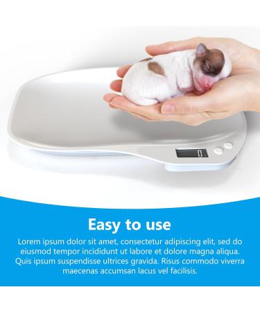 BORDEAG Pet Scale 15 Kg ( 1 G) Digital Pet Scale Digital Bathroom Scale Mini Digital Scale Cat Scale Dog Scale for Kitten Puppy Hamster - Buy Online on GoSupps.com