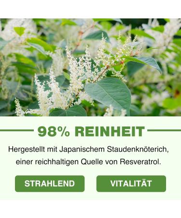 1200mg Liposomal Trans-Resveratrol - High-Dose Pure Formula 98% Trans-Resveratrol from Japanese Knotweed 60 Capsules for Optimal Health - Buy Online on GoSupps.com