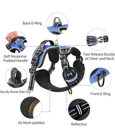 Buy Heele No-Pull Dog Harness for Large Dogs - Adjustable Reflective Breathable with Padded Handle - XL Blue (Breast Size: 53-97cm) - Buy Online on GoSupps.com