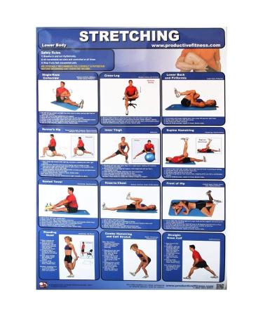 Productive Fitness Poster Series Lower Body Stretching Exercises Laminated