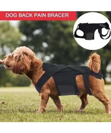 KOSDFOGE Dog Back Brace for Dogs Arthritis Polyester Strong Rigidity Flexible Back Supporting Vest for Walking Dogs Back Prevention(M) - Buy Online on GoSupps.com