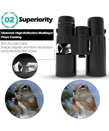 UBeesize 12x42 HD Binoculars with Phone Adapter - Waterproof and Professional Binoculars for Bird Watching, Hunting, Travel - Clear Low Light Vision - Buy Online on GoSupps.com