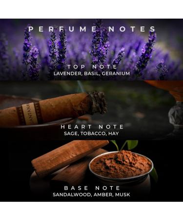 DJ MOY Gold Perfume Long Lasting 100ml for Men Lavender Basil Geranium - Buy Online on GoSupps.com