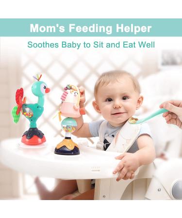 iPlay iLearn Baby Rattles Set | High Chair Toys with Suction Cup | Interactive Development Tray Toy for Newborn Gifts | 6-24 Months Boys Girls Kids - Buy Online on GoSupps.com