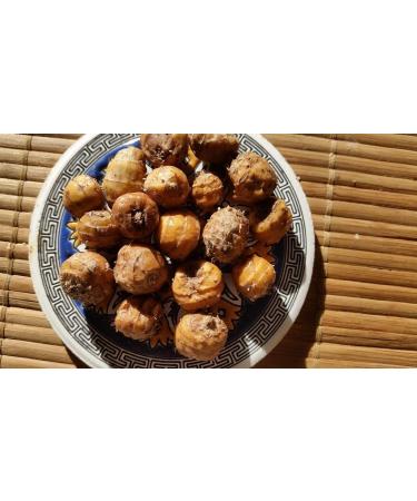 Portal Cool Tiger Nuts Cyperus Esculentus Terra Almond 'Valencia' 5 Tuberi freschi - Buy Online on GoSupps.com