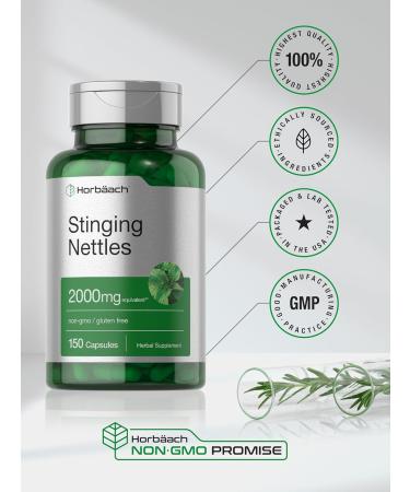 Horb ach Stinging Nettle Leaf Extract 2000mg | 150 Capsules | Non-GMO Gluten Free Herbal Supplement - Buy Online on GoSupps.com