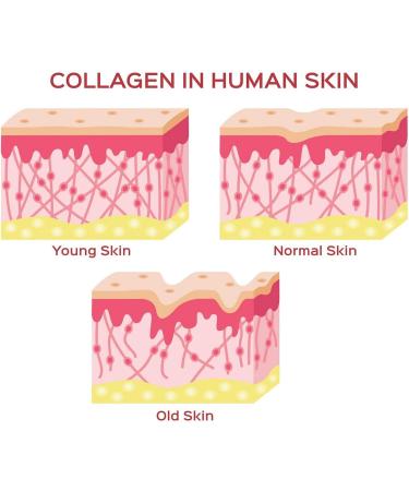 Herbal Magic Plant Based Collagen Builder - 60 Capsule  - Buy Online on GoSupps.com