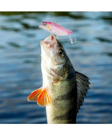 Ghanneey Fishing Spoon Lures 6pcs for Trout, Salmon, Bass, Crappie, Pike - Treble Feather Hooks and Spinner Blades Included - Buy Online on GoSupps.com