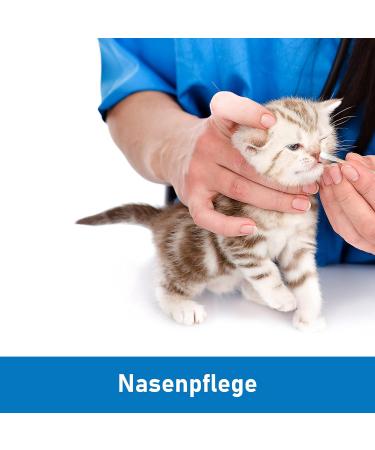 Kosmetex 100x Ear Cleaning Cotton Swabs for Dogs & Cats - 7.5 cm Eye & Ear Cleaner for Pets - Buy Online on GoSupps.com