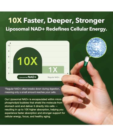 Nad+ Resveratrol Supplement 61800mg Per Bottle Liposomal Nad+ Resveratrol for Women & Men High Purity 1200mg Nad+ Supplement for Energy & Healthy Aging Resveratrol Quercetin CoQ10 90 Counts Nad with Quercetin 90 Co  - Buy Online on GoSupps.com