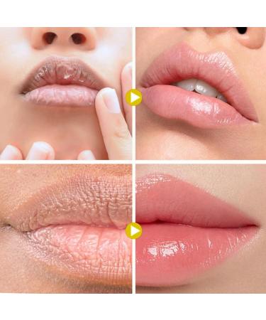 Propolis Lip Cerin Lip Salve Hydrating Overnight Lip Balm & Mask Lip Balm Stick Honey Bee Lip Butter Gentle Exfoliation Scented Lip Balm 12 Hours Long-Lasting Moisture Lip Repair Balm Skin Care - Buy Online on GoSupps.com