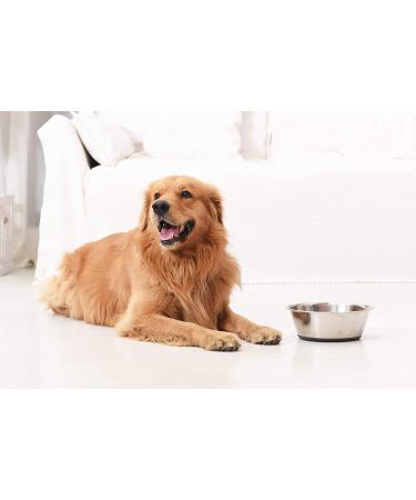 Peggy11 6-Cup Stainless Steel Anti-Slip Dog Bowls - Set of 2 - Buy Online on GoSupps.com