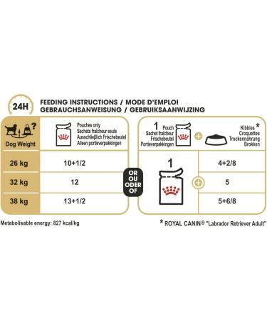 Royal Canin Labrador Retriever Adult in Gravy Wet Dog Food 140g (Pack of 10) - Buy Online on GoSupps.com