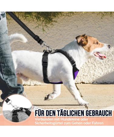 Buy Slowton No Pull Dog Harness - Soft Padded & Breathable for Small & Medium Dogs | XXS Purple - International Shipping Available - Buy Online on GoSupps.com