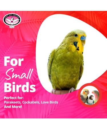 Super Bird Creations SB747 Mini Flying Trapeze Bird Toy - Small Bird Size 6x7x9 - Buy Online on GoSupps.com