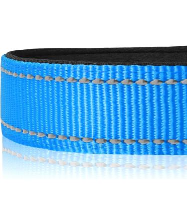 Joytale Reflective Dog Collar for Large Dogs - Blue Size L (Pack of 1) | Durable & Stylish International Shipping - Buy Online on GoSupps.com