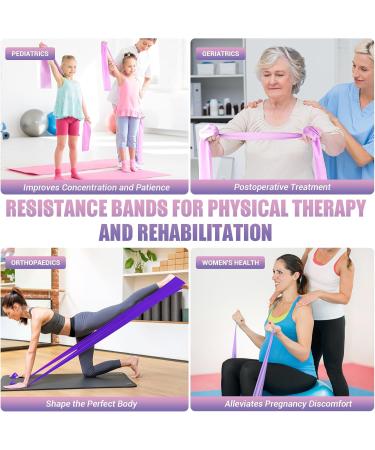 Buy Resistance Bands for Physical Therapy - Stretch Bands for Yoga Pilates & Fitness | 4.9FT Purple with Training Poster - Buy Online on GoSupps.com