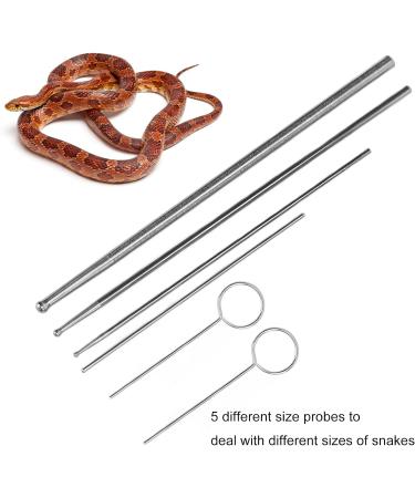 HEEPDD Snake Probe Tool 6 Pcs Snake Probe Kit Stainless Steel Round Head Anti Allergy Reptiles Snake Sexing Probe - Buy Online on GoSupps.com