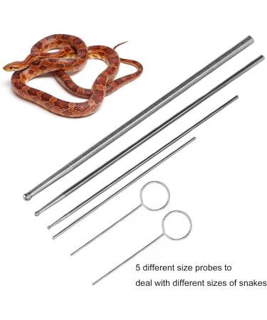 Snake Probe Tool 6 Pcs Snake Probe Kit Stainless Steel Round Head Anti Allergy Reptiles Snake Sexing Probe - Buy Online on GoSupps.com
