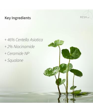 Resh Lab Korean Cica Repair Cream Hydrating Face Moisturizer for Sensitive & Dry Skin | Redness Relief Soothing Cream with Ceramide & Panthenol (Fragrance-Free 50ml) - Buy Online on GoSupps.com