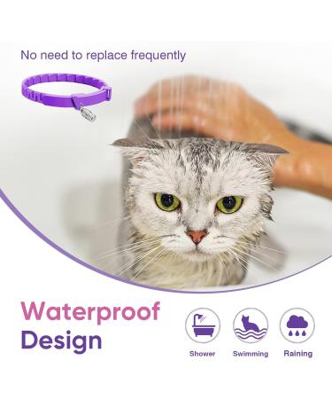 4 Pcs Pheromone Cat Calming Collars - Stress Relief & Comfort Starter Kit for Cats | Adjustable Anti-Stress Solutions - Buy Online on GoSupps.com