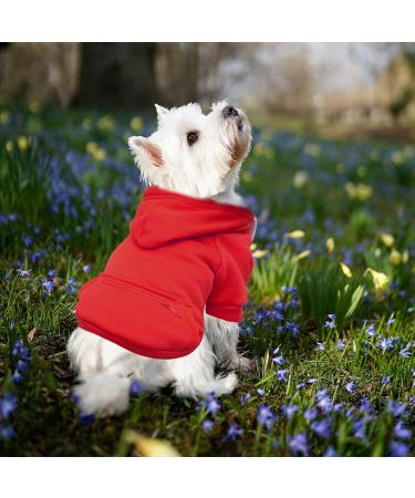 Waterproof Winter Dog Coat | Warm Jacket & Hoodie for Small Dogs - XS 1107debka Red - Buy Online on GoSupps.com