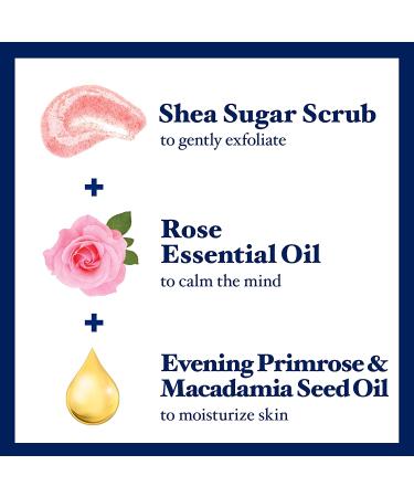 Dr Teal's Rose Shea Sugar Body Scrub - 19 oz (3 Pack) | Exfoliating & Hydrating with Essential Oils - Buy Online on GoSupps.com