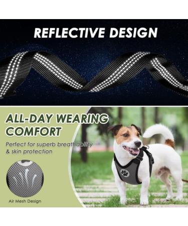 Slowton XXS Dog Harness with Safety Belt for Car - Breathable Latex Puppy Harness for Everyday Sports - Gray - Buy Online on GoSupps.com