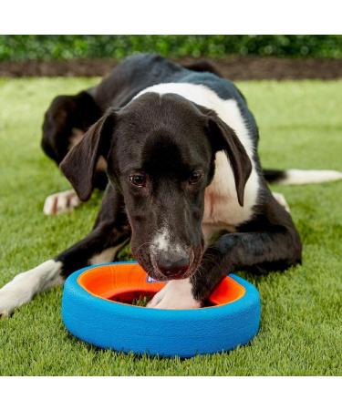 Chuckit! CH252101 Fetch Wheel Small - Durable Dog Toy for Fetching Fun | International Shipping Available - Buy Online on GoSupps.com