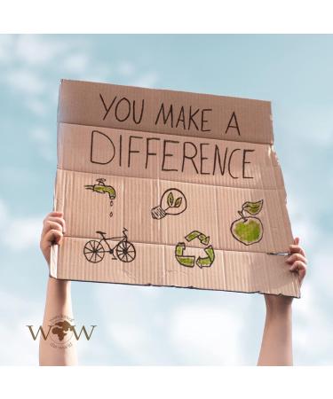 MKS-Eco Wow Revive 10-in-1 Detangler - 118ml | Best Hair Care Solution | International Shipping Available - Buy Online on GoSupps.com