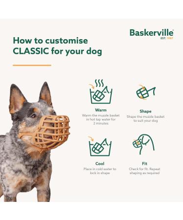 Baskerville Classic Basket Muzzle for Dogs | Pant Drink Prevent Bites | Durable TPR | Ideal for Long-Nosed Breeds - Buy Online on GoSupps.com