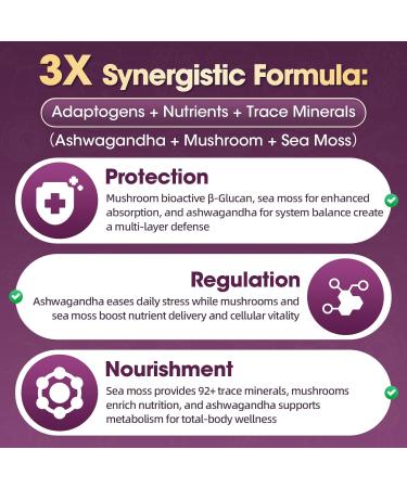 GREENPEOPLE Mushroom Gummies - 10x Mushroom Supplement Complex w/Ashwagandha Lions Mane Cordyceps Chaga - Support Immune Energy Cognitive & Focus - MixBerry Flavor Vegan Sugar-Free 60 CT 2 Pack Mixberry 60 Count (Pack  - Buy Online on GoSupps.com