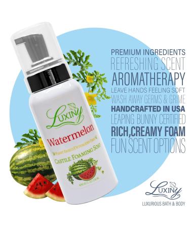 Castile soap Liquid Foaming Hand Soap Hand Wash for the Kitchen & Bathroom Palm Oil Free Vegan & Cruelty Free Made in the USA 8.45 oz. 2 Pack (Watermelon) - Buy Online on GoSupps.com