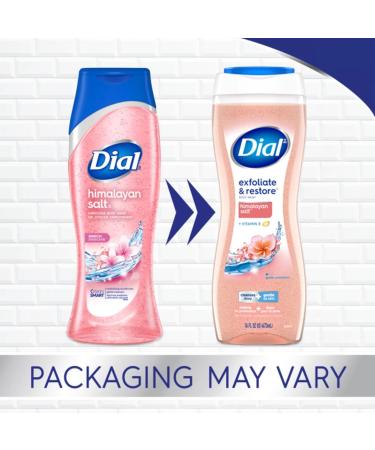 Dial Skin Therapy Replenishing Body Wash Himalayan Pink Salt & Water Lily 16 oz (Pack of 2) - Buy Online on GoSupps.com