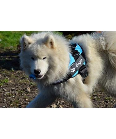 Custom Labels for Julius K9 - Pair of Interchangeable Size Patches - Black - Easy to Use with Julius K9 Harnesses - Reflective - Logo Illustration - Product Information - Powerharnesses Compatible - Buy Online on GoSupps.com