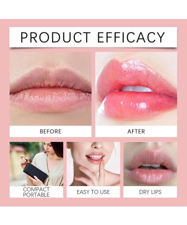 Moisturizing Lip Treatment | Long-Lasting Christmas Moisturizer | Non-Greasy Lip Repair Sticks | For Women and Men - Winter Birthday Holiday Travel Dates Everyday Use Party Office Work - Buy Online on GoSupps.com