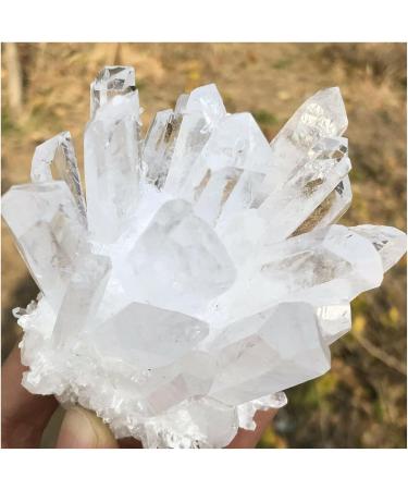 Natural Crystal Rough Natural Crystal Rough Natural Rare White Quartz Crystal Cluster SpecimenAntiques Exorcise Evil Spirits Money Drawing Semi-Precious Stone Jade Jewelry Jaspery Natural (Size : 550 550-600g - Buy Online on GoSupps.com