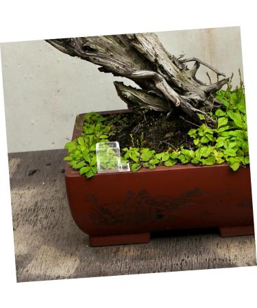 BESPORTBLE 2pcs Pet Water Feeder Ants Feeding Bowl Ants Nest Water Feeder Ants Water Feeding Plastic - Buy Online on GoSupps.com