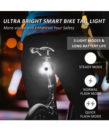 RAYMACE Bike Rear Rack Bag with Tail Light - Black Cooler Bag for Warm or Cold Items - Buy Online on GoSupps.com